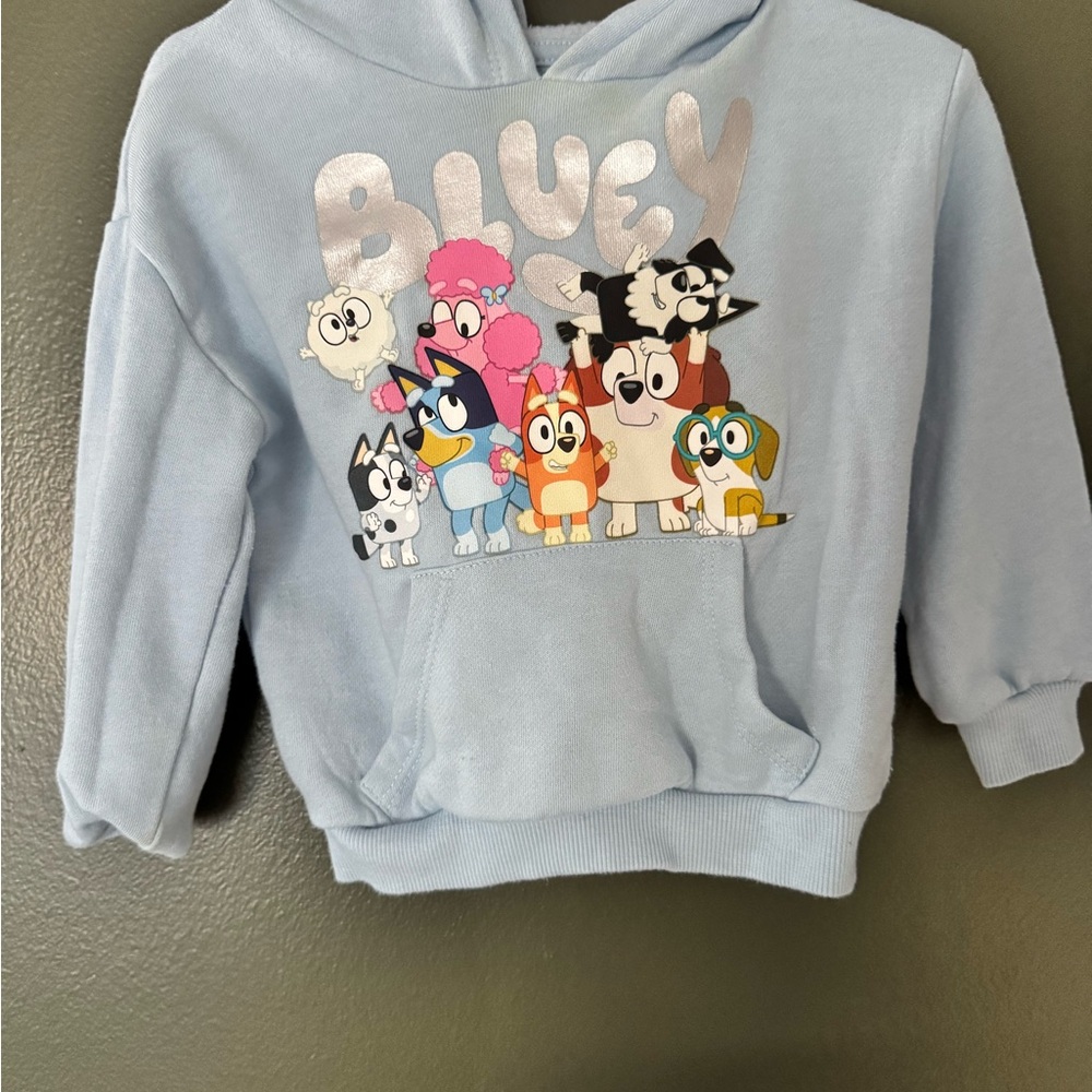 Bluey Light Blue Kids Hoodie with Colorful Character Graphic